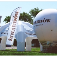 Balon Alfa Żyrardów